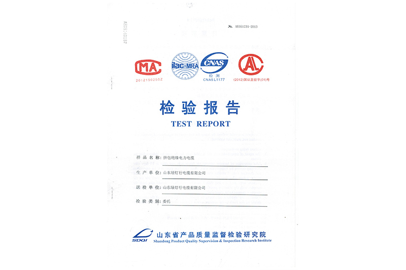 ������Ե�������¼��鱨��