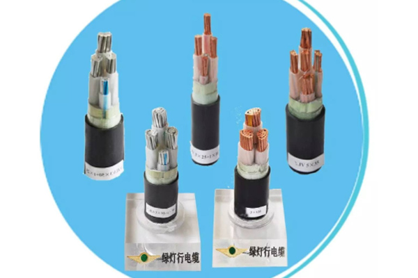 ��������WDZ-YJY