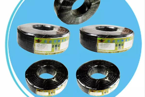 ��������RVVP