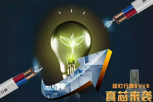 ������BVVB