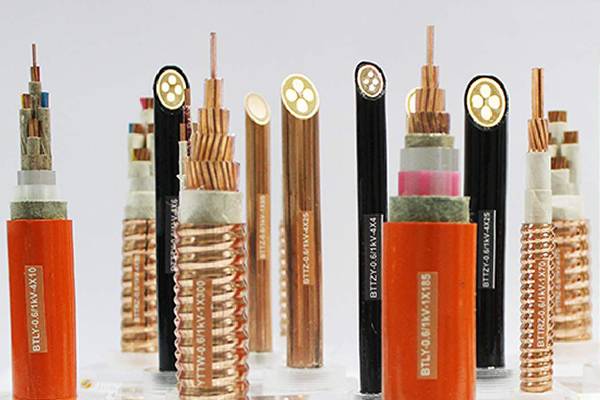 �����Ե�������BBTZ��